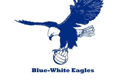 Blue White Eagles